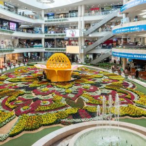 Toda la diversión y compras en un solo lugar: Plaza Central