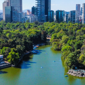 El mapa guía definitivo para explorar las galerías de arte de CDMX