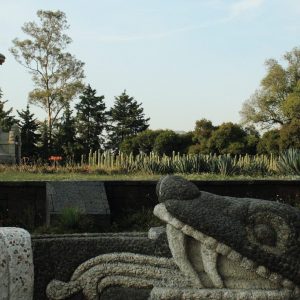 Descubre los secretos ocultos de las Galerías Cuernavaca