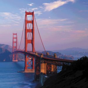 Explora el mundo del arte en San Francisco: de galerías modernas a obras clásicas